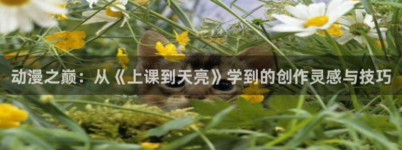 日本里番动漫网